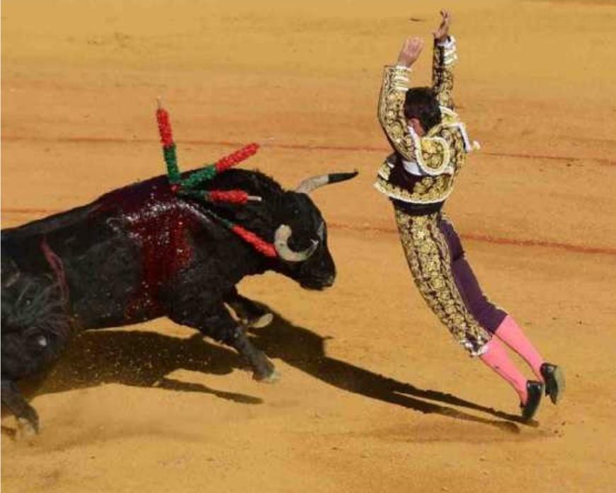 Zocato, envoyé spécial