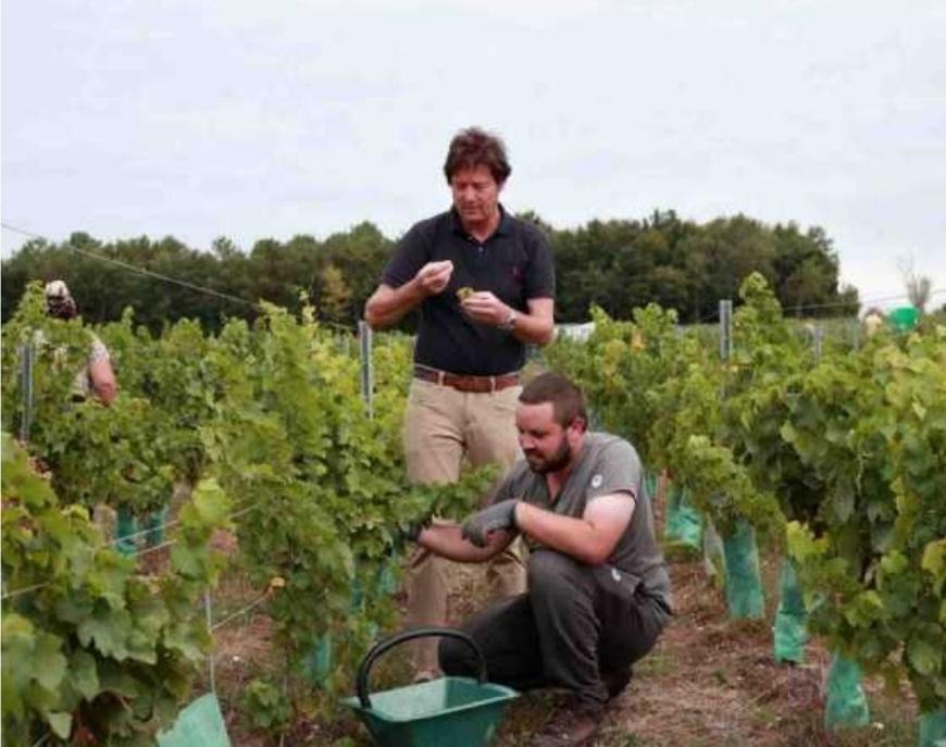 CÉSAR COMPADRE,c.compadre@sudouest.fr