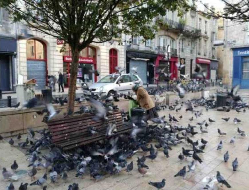 ÉMILIEN GOMEZ,gironde@sudouest.fr
