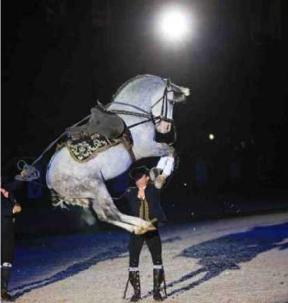 www.jumping-bordeaux.com