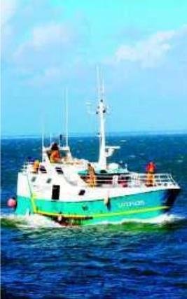 MARIE-LUCE RIBOT,Retrouvez « La mer notre avenir » sur www.sudouest.fr
