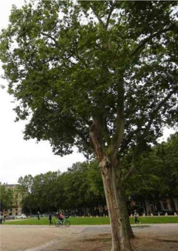 Catherine Darfay,c.darfay@sudouest.fr