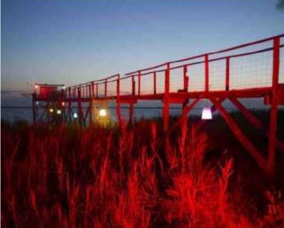 Laurie Veyrier,Renseignements sur gironde-tourisme.fr et auprès de l’office de tourisme intercommunal de Saint-Ciers : 05 57 32 88 88.
