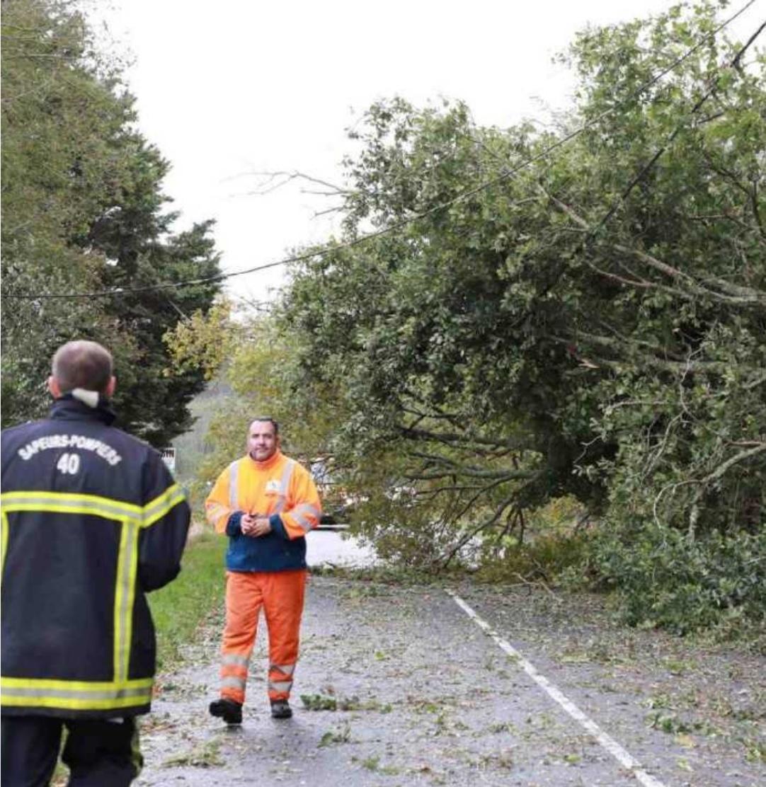 Benoît Lasserre,b.lasserre@sudouest.fr