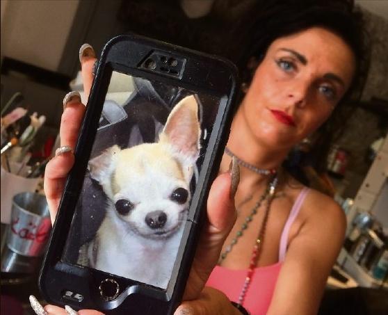 ALEXANDRE CARINI acarini@nicematin.fr,Toute personne susceptible de retrouver Gold peut contacter Leslie au 06.13.75.21.18.