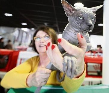 CATHERINE PONTONE,Aujourd’hui de 10 h à 18h30. Entrée : 7 euros ; 5 euros pour les 6-12 ans et gratuit pour les moins de 5 ans.