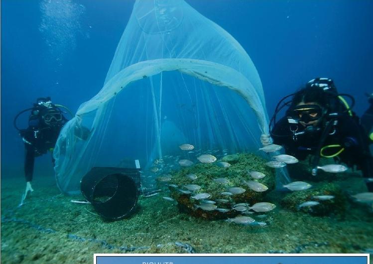 J. T.,1. Formation d’une couche d’êtres vivants sur une surface artificielle en contact permanent ou fréquent avec de l’eau.