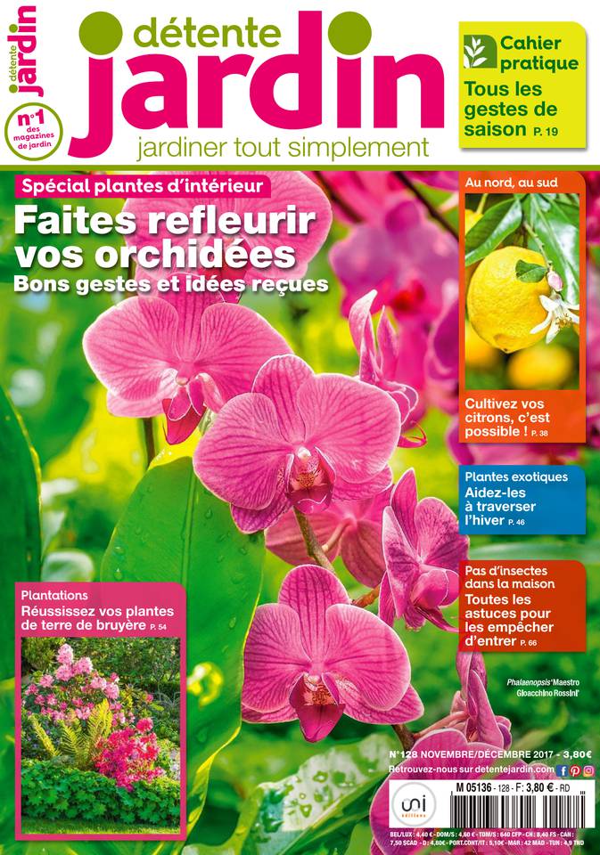 Détente Jardin 13 octobre 2017 Détente Jardin N°128 du 13 octobre 2017 à télécharger sur iPad
