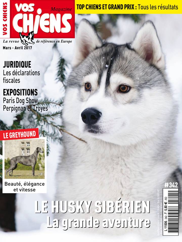 Vos chiens 03 mars 2017 Vos Chiens