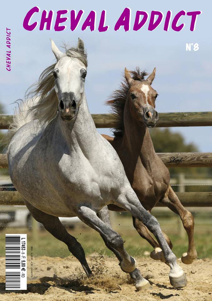 Cheval Addict 04 mai 2019 Cheval Addict du 04 mai 2019