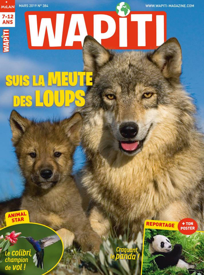 Wapiti 20 février 2019 Wapiti du 20 février 2019