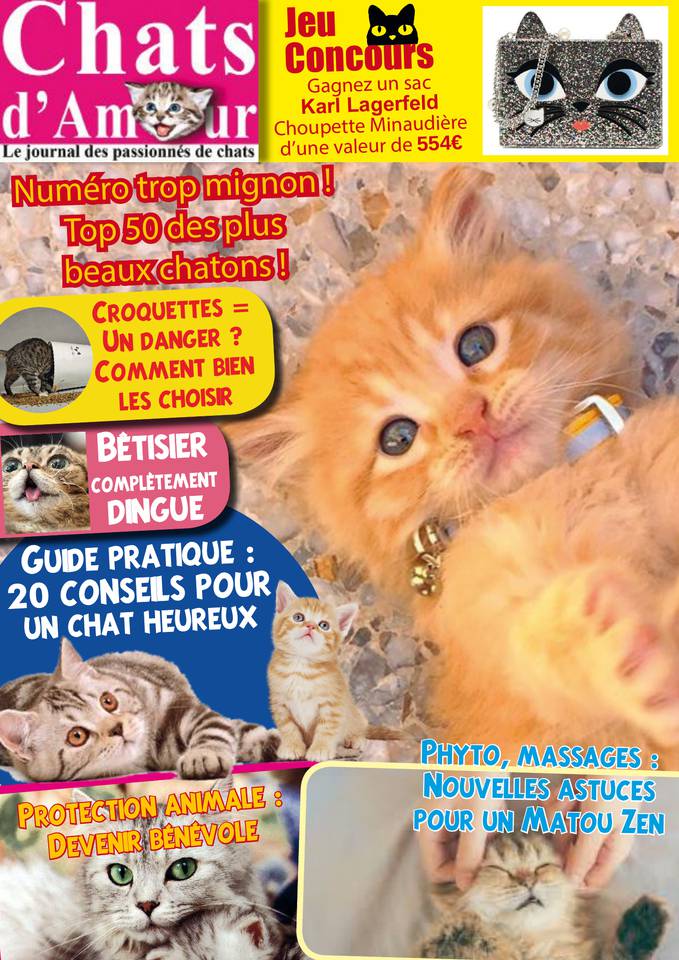 Chats d'amour 18 mai 2018 Abonnement Chats d'amour Pas Cher avec le BOUQUET ePresse.fr