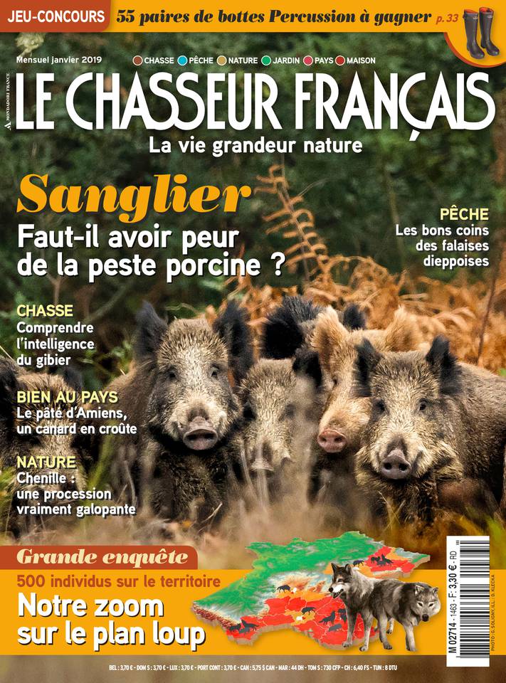 Le Chasseur français 26 décembre 2018 Abonnement Le Chasseur français Pas Cher avec le BOUQUET ePresse.fr
