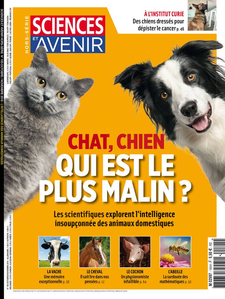 Sciences et Avenir Hors-Série 26 septembre 2018 Abonnement Sciences & Avenir Hors-Série Pas Cher avec ePresse.fr