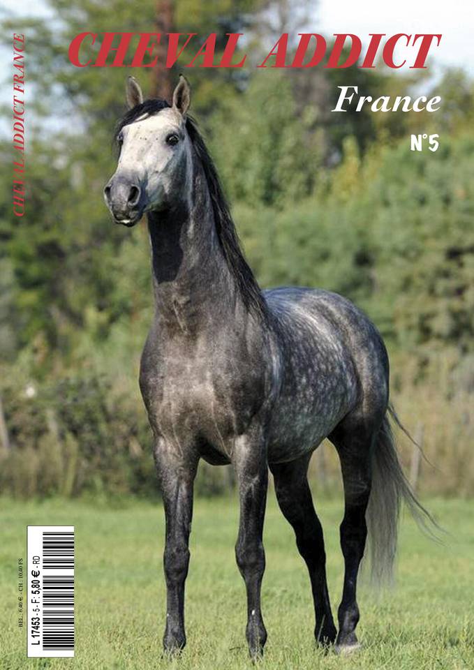 Cheval Addict 24 mars 2018 Cheval Addict du 24 mars 2018