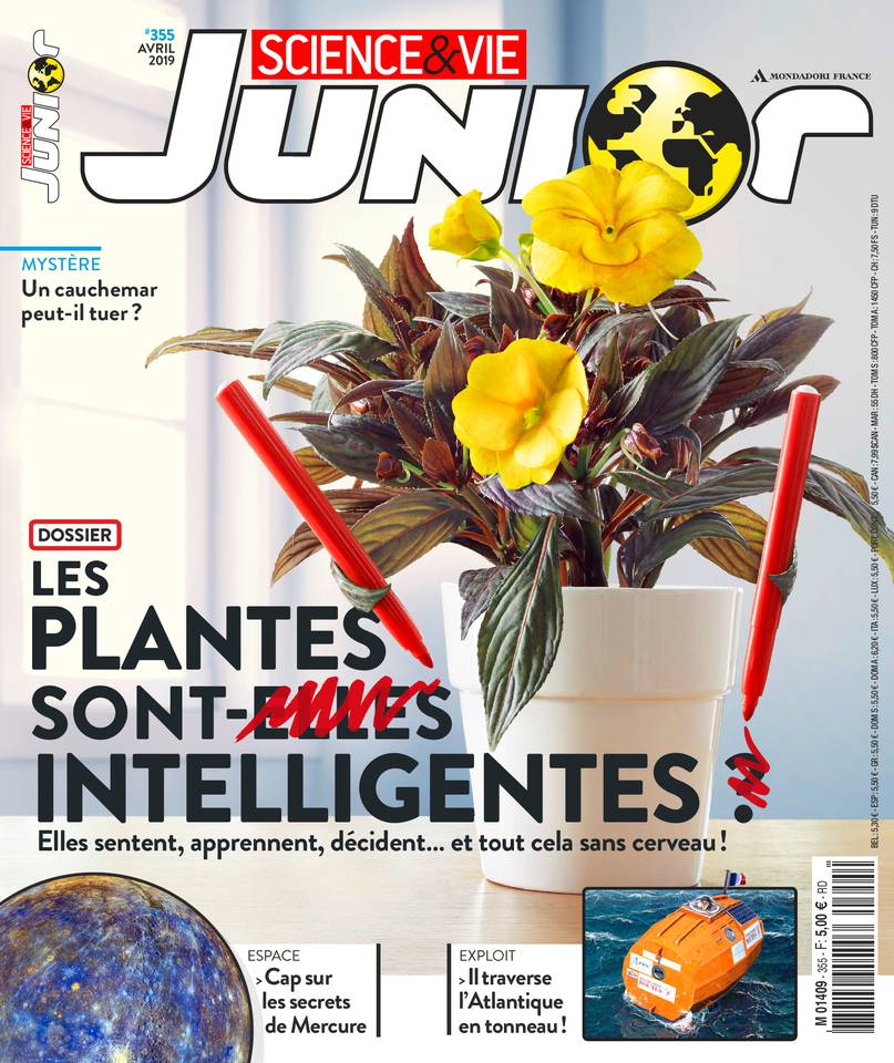 Science & Vie Junior 13 mars 2019 Abonnement Science & Vie Junior avec le BOUQUET d'ePresse.fr