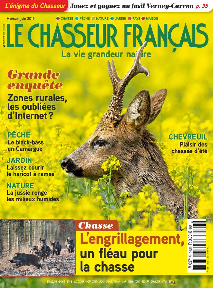 Le Chasseur français 22 mai 2019 Abonnement Le Chasseur français Pas Cher avec le BOUQUET ePresse.fr