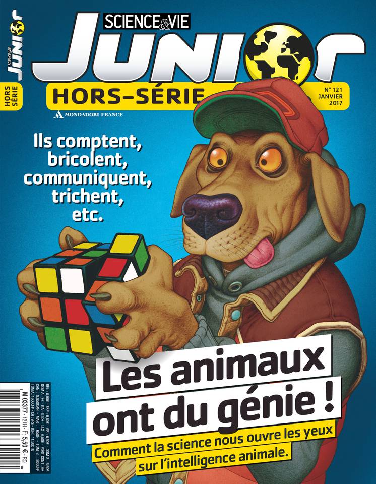 Abonnement Science & Vie Junior Hors-Série Avec EPresse.fr