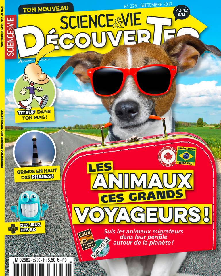 Science & Vie Découvertes 16 août 2017 Abonnement Science & Vie Découvertes avec le BOUQUET d'ePresse.fr