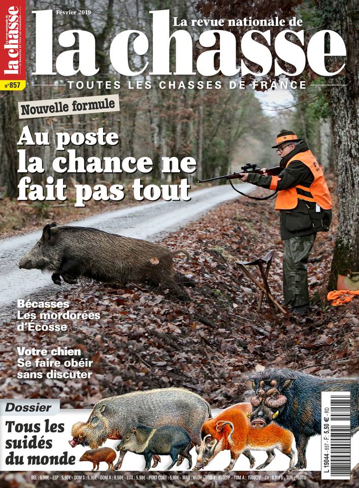 La Revue Nationale de la Chasse 15 janvier 2019 Abonnement La Revue Nationale de la Chasse avec ePresse.fr