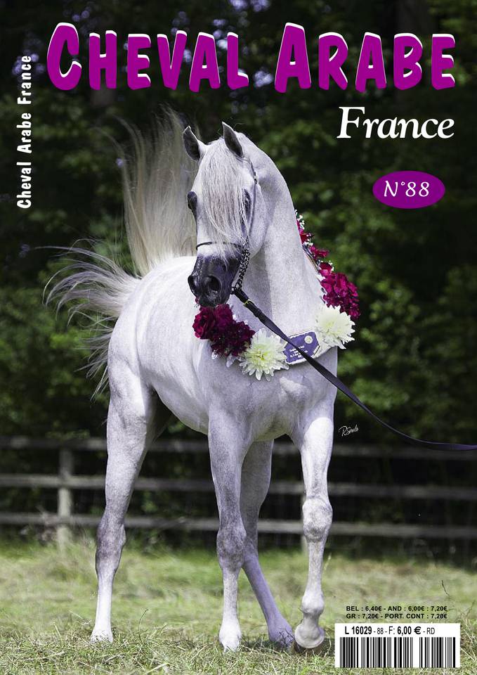Cheval Arabe France 14 juin 2016 Abonnement Cheval Arabe France avec le BOUQUET ePresse.fr
