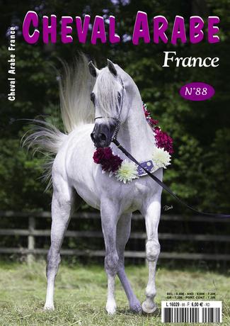 Cheval Arabe France