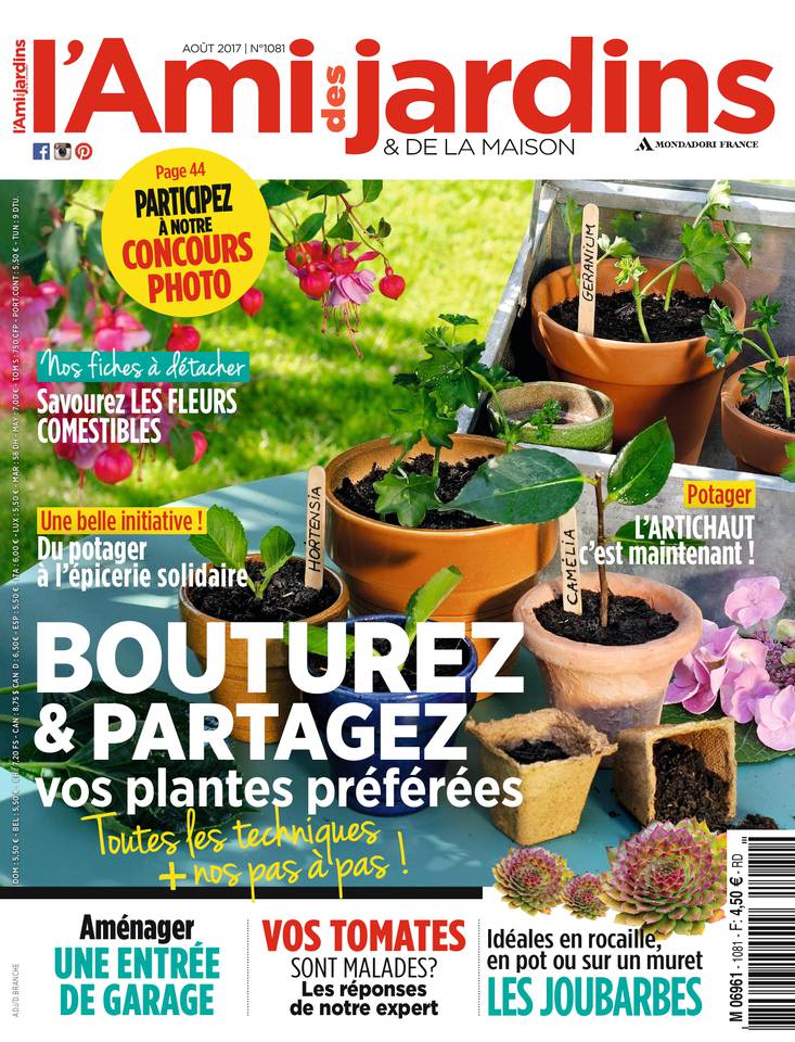 L'Ami des Jardins 28 juillet 2017 Abonnement L'Ami des Jardins Pas Cher avec le BOUQUET ePresse.fr