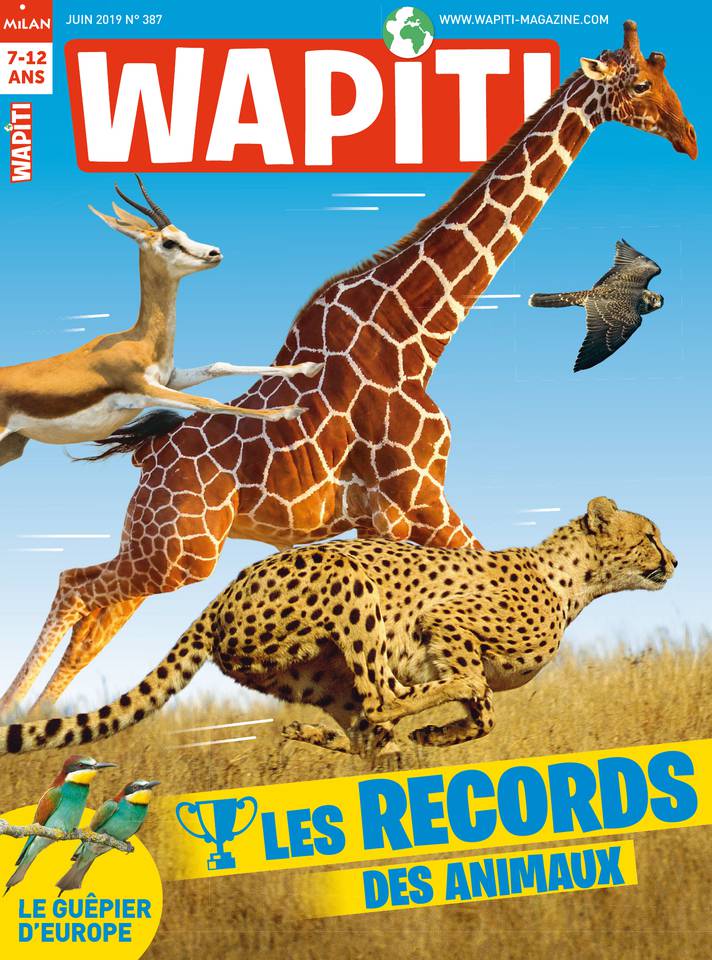 Wapiti 22 mai 2019 Wapiti du 22 mai 2019