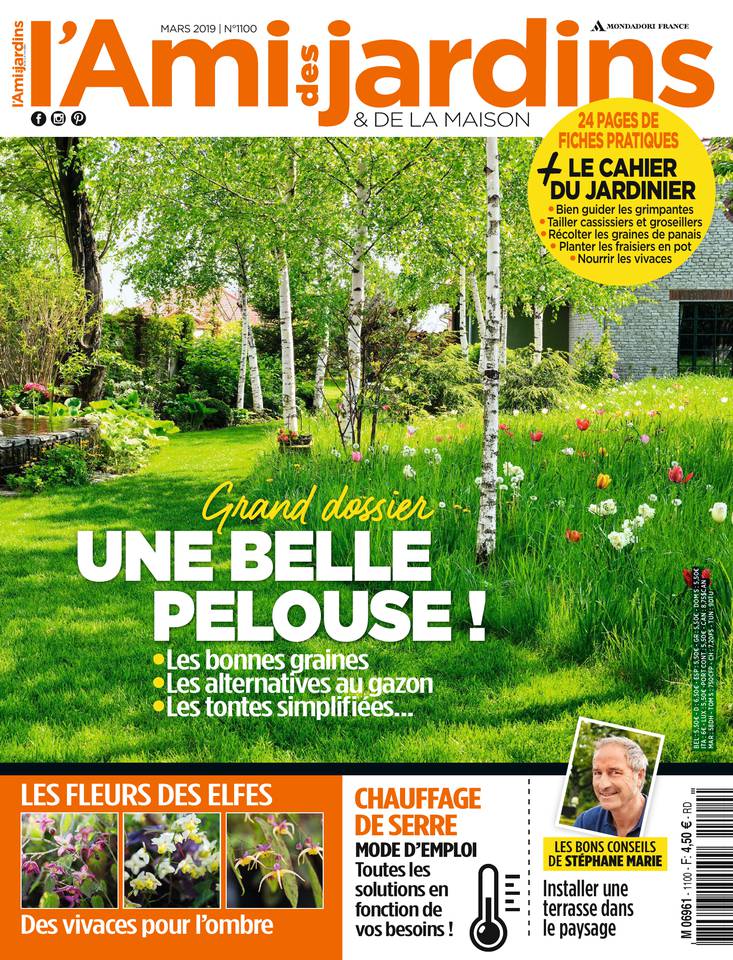 L'Ami des Jardins 25 février 2019 Abonnement L'Ami des Jardins Pas Cher avec le BOUQUET ePresse.fr