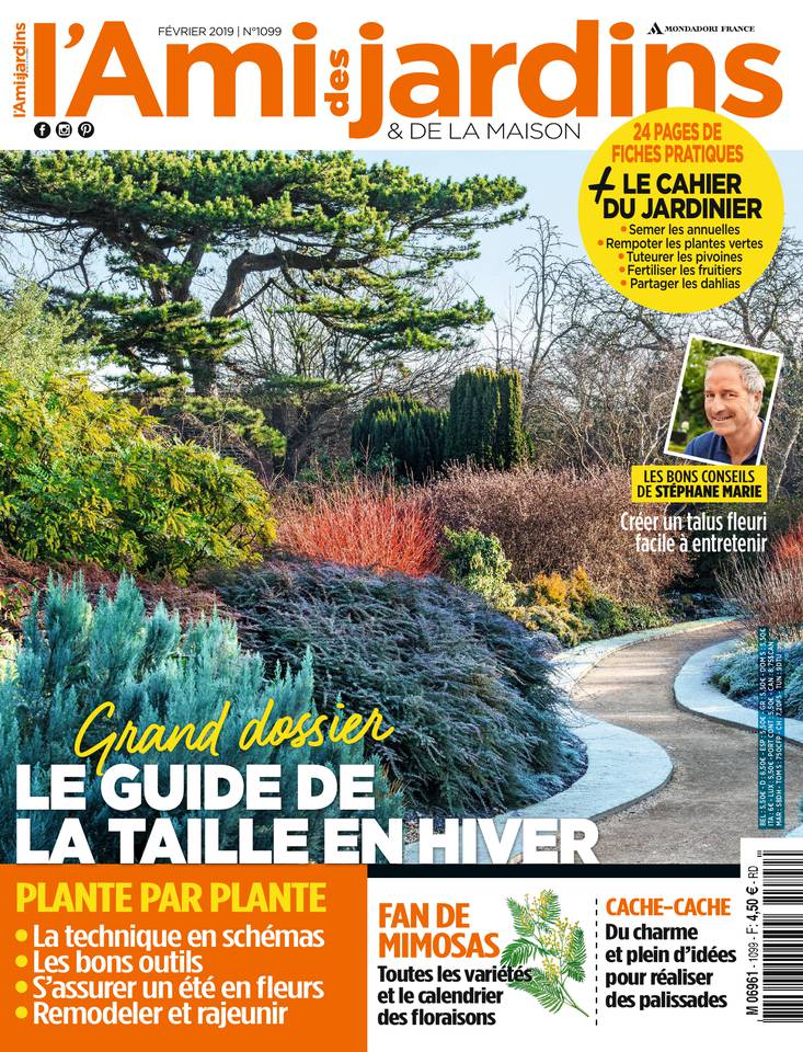 L'Ami des Jardins 24 janvier 2019 Abonnement L'Ami des Jardins Pas Cher avec le BOUQUET ePresse.fr