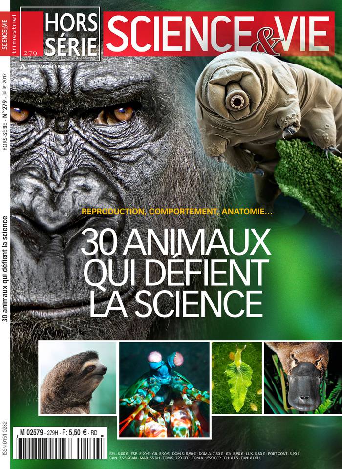 Science & Vie Hors-Série 05 juillet 2017 Abonnement Science & Vie Hors-Série avec le BOUQUET ePresse.fr
