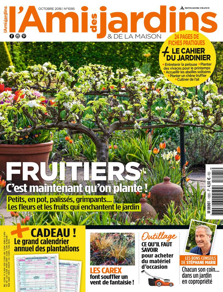 L'Ami des Jardins 27 septembre 2018 Abonnement L'Ami des Jardins Pas Cher avec le BOUQUET ePresse.fr