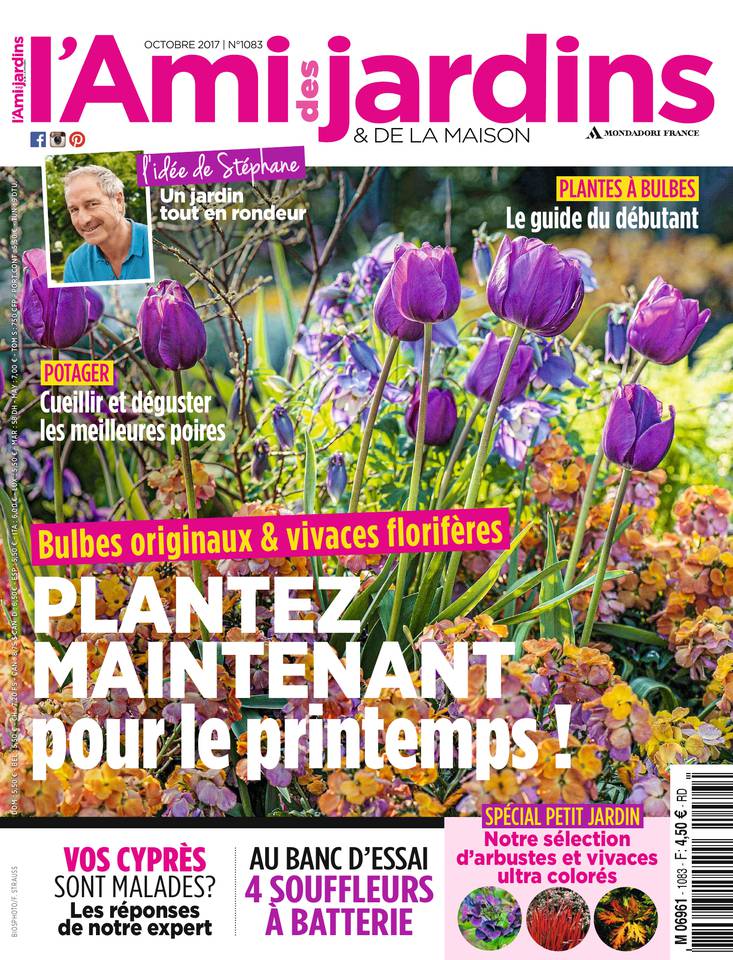 L'Ami des Jardins 28 septembre 2017 Abonnement L'Ami des Jardins Pas Cher avec le BOUQUET ePresse.fr