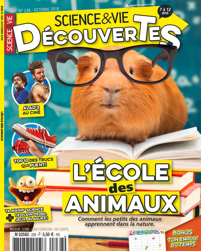 Science & Vie Découvertes 12 septembre 2018 Abonnement Science & Vie Découvertes avec le BOUQUET d'ePresse.fr